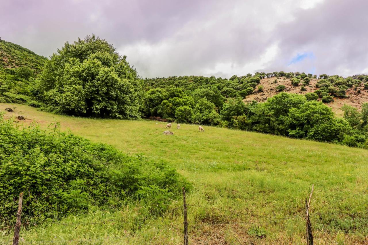 Country Home Genesi 20 Min From Trikala Exterior foto