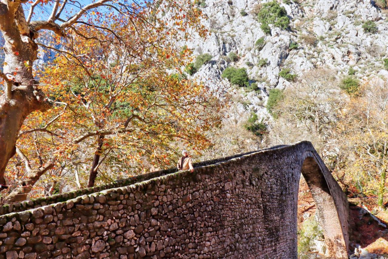 Country Home Genesi 20 Min From Trikala Exterior foto