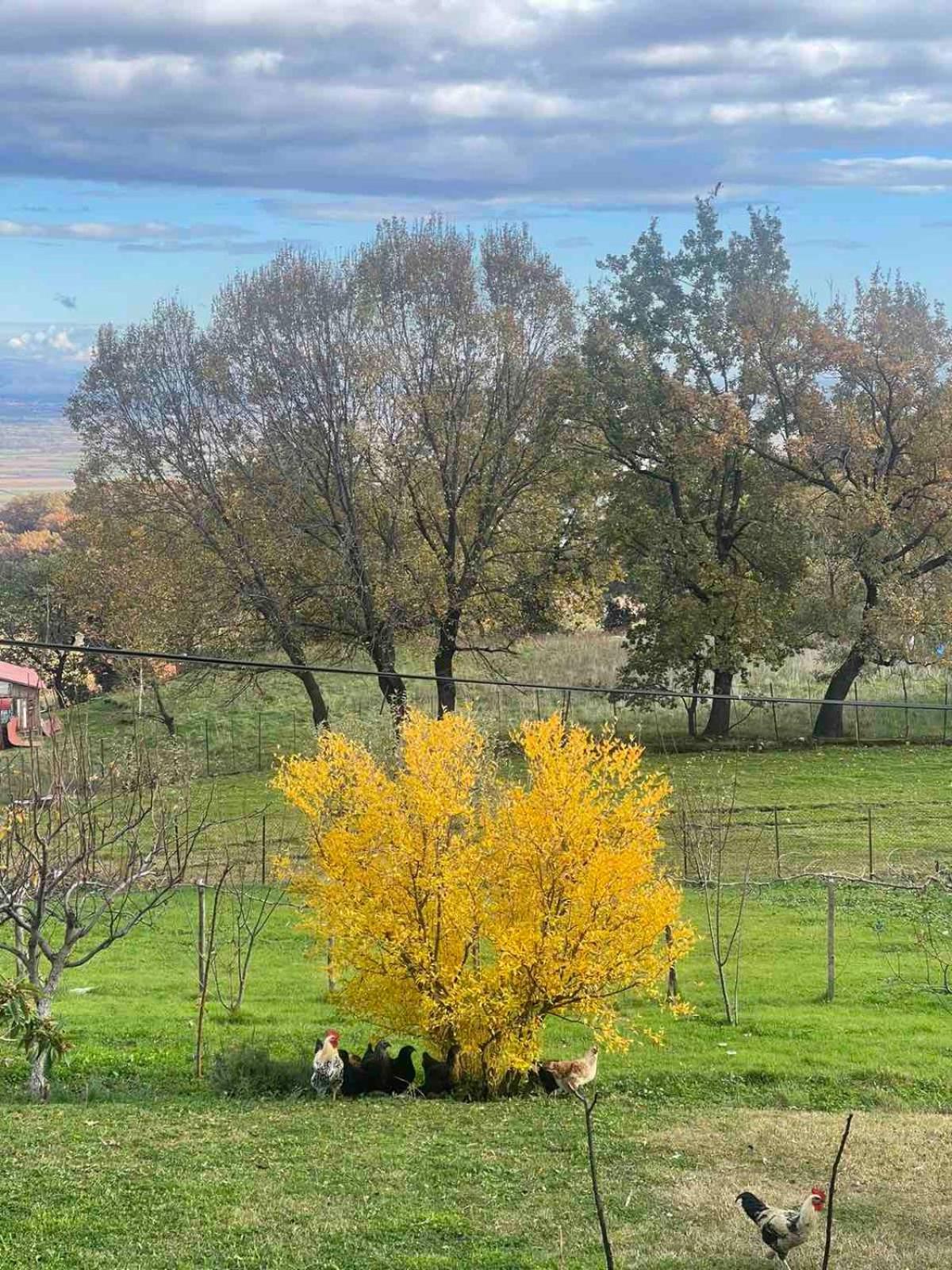 Country Home Genesi 20 Min From Trikala Exterior foto